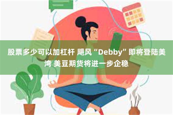 股票多少可以加杠杆 飓风“Debby”即将登陆美湾 美豆期货将进一步企稳