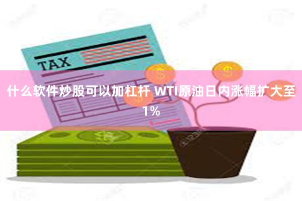 什么软件炒股可以加杠杆 WTI原油日内涨幅扩大至1%