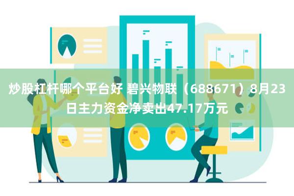 炒股杠杆哪个平台好 碧兴物联（688671）8月23日主力资金净卖出47.17万元