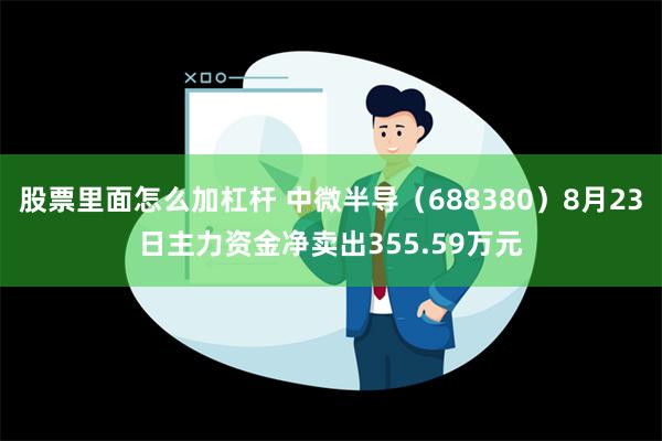 股票里面怎么加杠杆 中微半导（688380）8月23日主力资金净卖出355.59万元