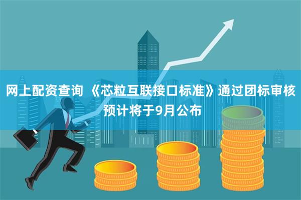 网上配资查询 《芯粒互联接口标准》通过团标审核 预计将于9月公布