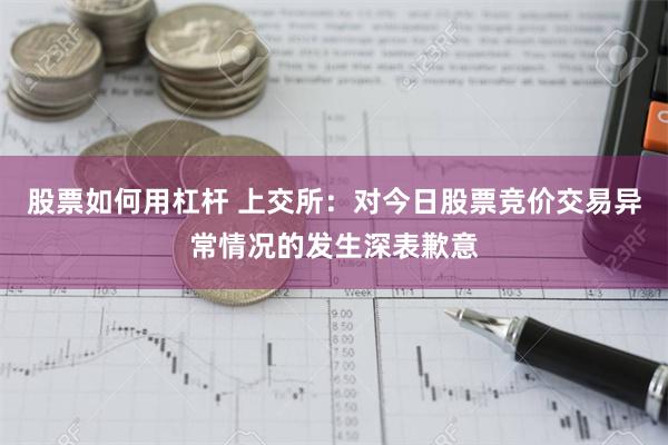 股票如何用杠杆 上交所：对今日股票竞价交易异常情况的发生深表歉意