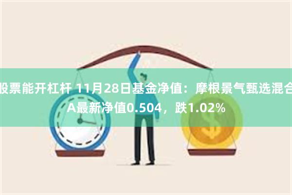 股票能开杠杆 11月28日基金净值：摩根景气甄选混合A最新净值0.504，跌1.02%