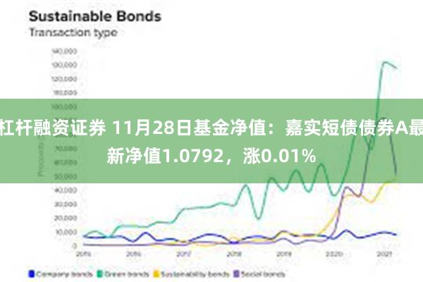 杠杆融资证券 11月28日基金净值：嘉实短债债券A最新净值1.0792，涨0.01%