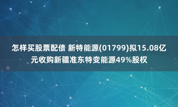 怎样买股票配债 新特能源(01799)拟15.08亿元收购新疆准东特变能源49%股权