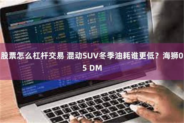 股票怎么杠杆交易 混动SUV冬季油耗谁更低？海狮05 DM