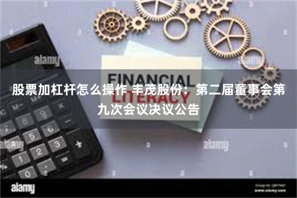 股票加杠杆怎么操作 丰茂股份：第二届董事会第九次会议决议公告