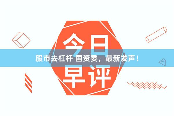 股市去杠杆 国资委，最新发声！