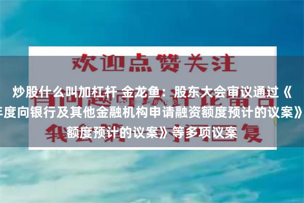 炒股什么叫加杠杆 金龙鱼：股东大会审议通过《关于2026年度向银行及其他金融机构申请融资额度预计的议案》等多项议案