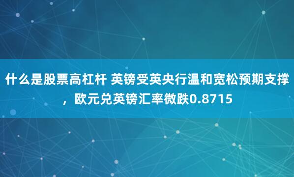 什么是股票高杠杆 英镑受英央行温和宽松预期支撑，欧元兑英镑汇率微跌0.8715